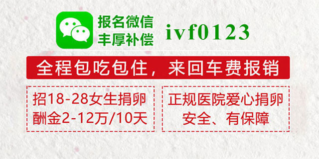 手机banner